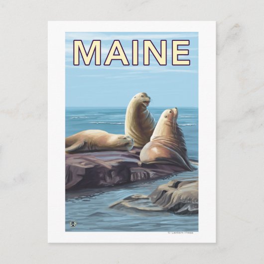 MaineSea Lions Szene Postkarte (Vorderseite)