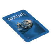 MaineSea Otter Scene Magnet (Rechte Seite)