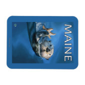 MaineSea Otter Scene Magnet (Horizontal)