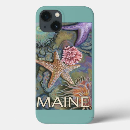 MaineTidepool Scene Case-Mate iPhone Hülle (Rückseite)