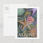 MaineTidepool Scene Postkarte (Vorne/Hinten)