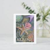 MaineTidepool Scene Postkarte (Stehend Vorderseite)