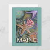 MaineTidepool Scene Postkarte (Vorne/Hinten)