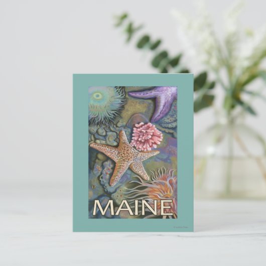 MaineTidepool Scene Postkarte (Stehend Vorderseite)