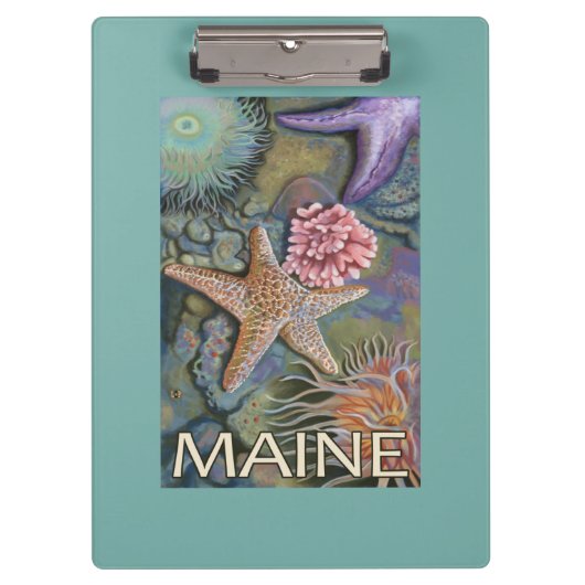 MaineTidepool Szene Klemmbrett (Vorderseite)