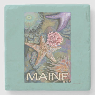 MaineTidepool Szene Steinuntersetzer