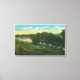 MaineView der Kühe heimwärts gesprungen Leinwanddruck