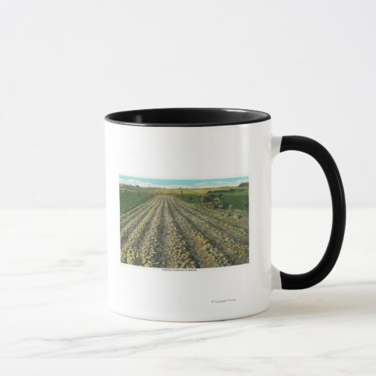 MaineView einer Kartoffelfarm in Maine Tasse (Rechts)