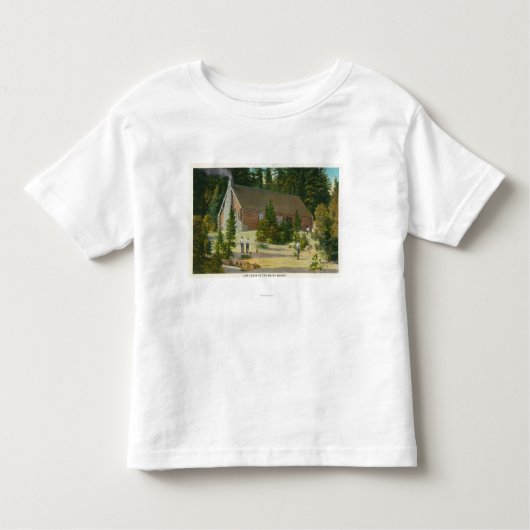 MaineView eines Blockhauses im Maine-Holz Kleinkind T-shirt (Vorderseite)