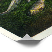 MaineView of a Nice Catch of Maine Lake Foreut Poster (Ecke)