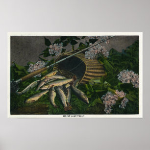 MaineView of a Nice Catch of Maine Lake Foreut Poster