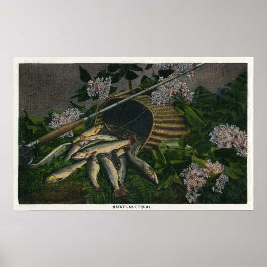 MaineView of a Nice Catch of Maine Lake Foreut Poster (Vorne)