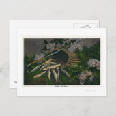 MaineView of a Nice Catch of Maine Lake Foreut Postkarte (Vorne/Hinten)