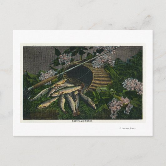 MaineView of a Nice Catch of Maine Lake Foreut Postkarte (Vorderseite)