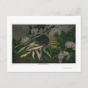 MaineView of a Nice Catch of Maine Lake Foreut Postkarte