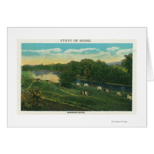 MaineView von Kühen nach Hause