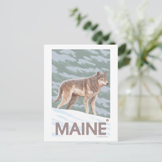 MaineWolf-Szene Postkarte (Stehend Vorderseite)