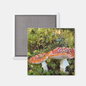 Mairytale Mushrooms Magnet (Vorderseite/Rückseite)