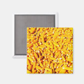 Mais auf dem Cob Magnet (Vorderseite/Rückseite)