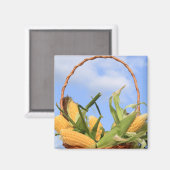 Mais auf dem Cob Magnet (Vorderseite/Rückseite)