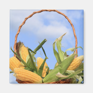 Mais auf dem Cob Magnet