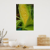 Mais auf dem Cob Poster (Küche)