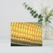 Mais auf dem Cob Postkarte (Stehend Vorderseite)