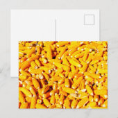 Mais auf dem Cob Postkarte (Vorne/Hinten)