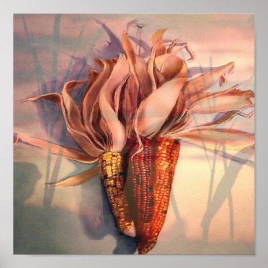 Mais bei Sonnenuntergang Poster (Vorne)