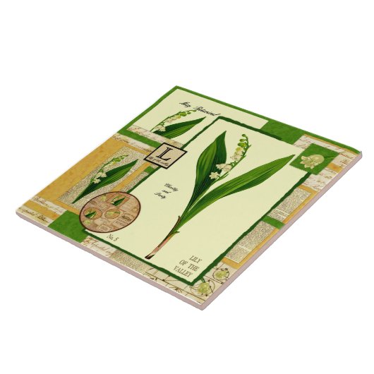 Mais Blume Fliese (Seite)