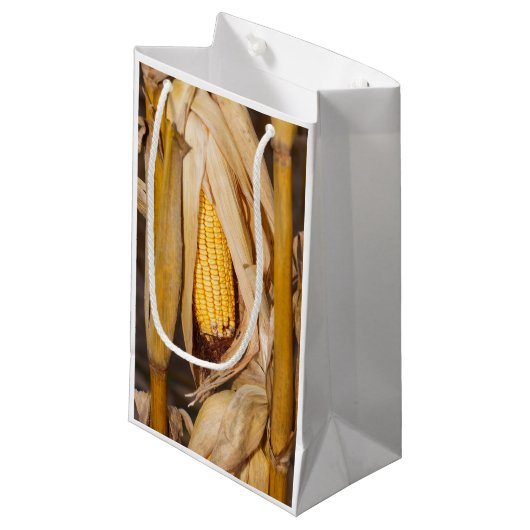 Mais Cobb auf Stiel Kleine Geschenktüte (Vorderseite Schrägansicht)