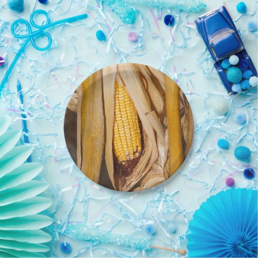 Mais Cobb auf Stiel Pappteller (Party)