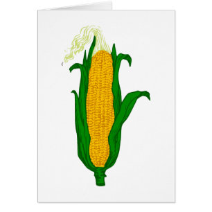 Mais Maiskolben corn cob