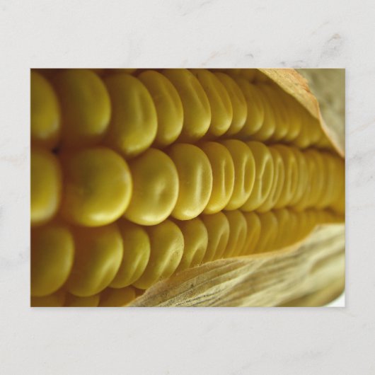 Mais nah Postkarte (Vorderseite)