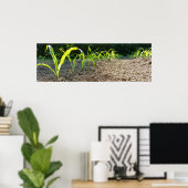 Mais Poster (Heimbüro)