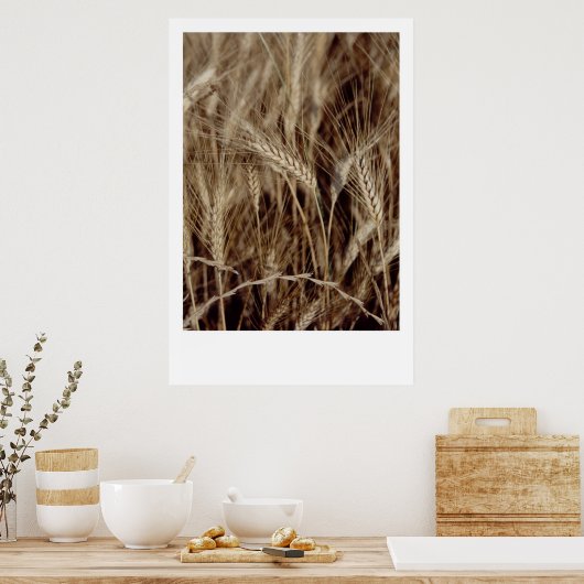 Mais Poster (Küche)