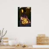 Mais Poster (Küche)