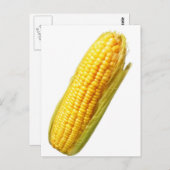 Mais Postkarte (Vorne/Hinten)