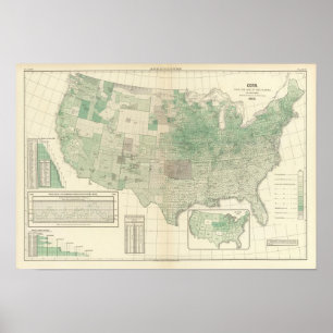 Mais pro den Morgen gepflanzt Poster