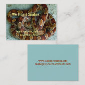 Mais-Schlange Visitenkarte (Vorne/Hinten)