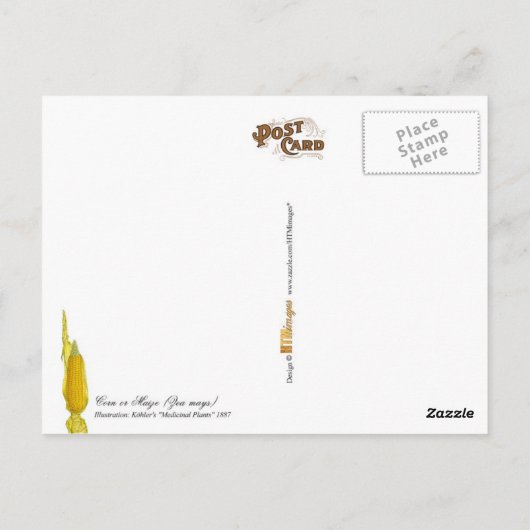 Mais - Vintage Abbildung Postkarte (Rückseite)