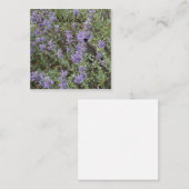 Maisbiene Mitteilungskarte (Vorne/Hinten)