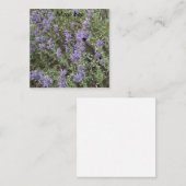 Maisbiene Mitteilungskarte (Vorne/Hinten)