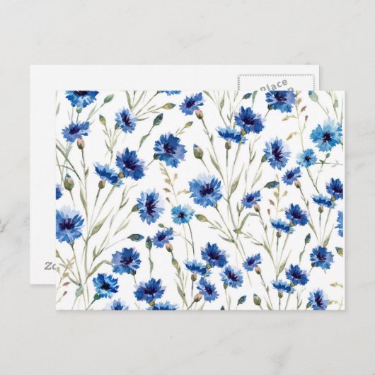 Maisblume Postkarte (Vorne/Hinten)