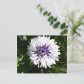 Maisblume Postkarte (Stehend Vorderseite)