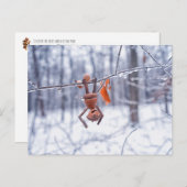 Maiself im frostigen Winter - Winterpostkarte Postkarte (Vorne/Hinten)