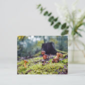 Maiself mit einem Pilz in einem kleinen Wagen Postkarte (Stehend Vorderseite)