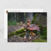 Maiself mit Fahrrad auf Pilz Postkarte (Vorne/Hinten)