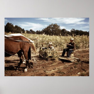 Maisernte: 1940 poster