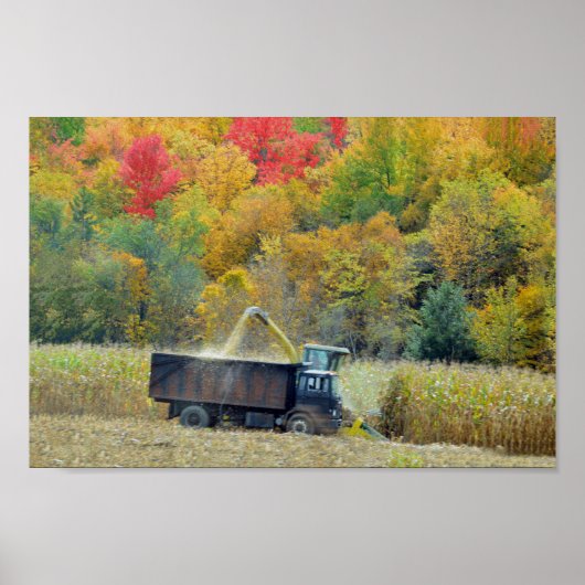 Maisernte in Vermont Poster (Vorne)